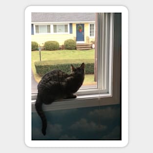 Kitty in the Window Sticker